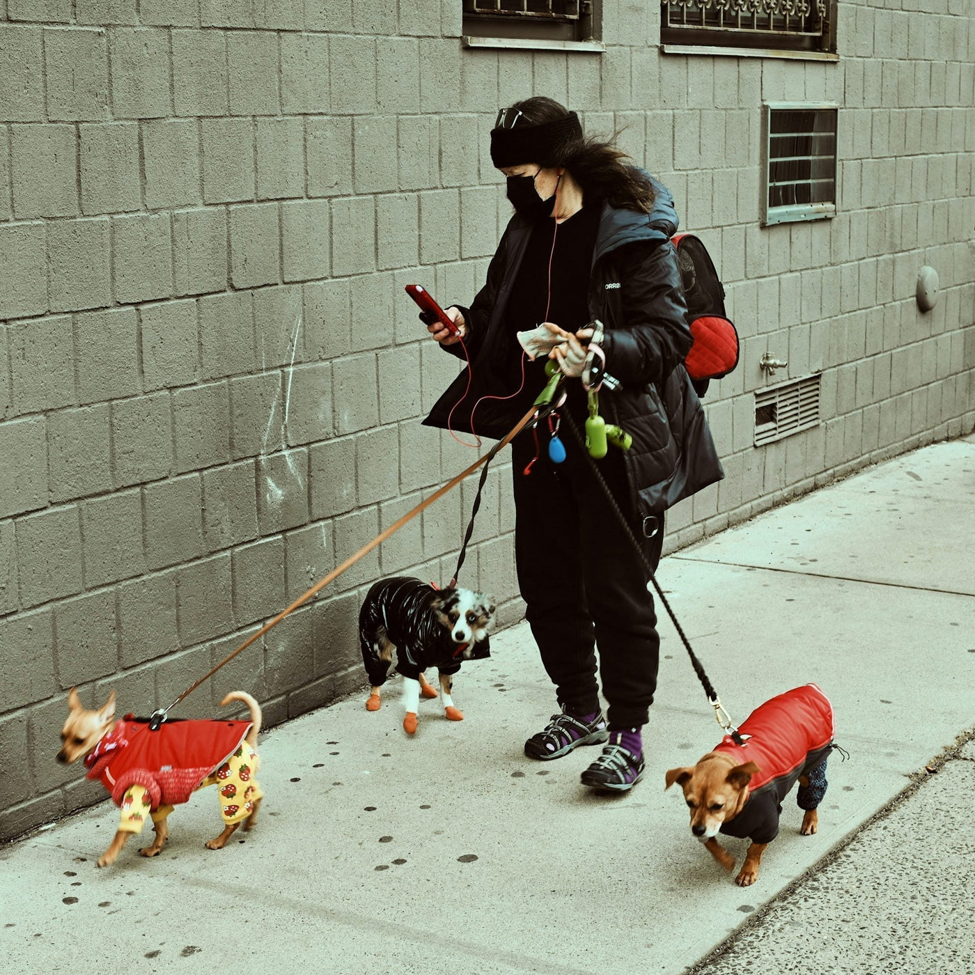 Do Dogs Really Need Clothes? A Vet-Friendly Style Guide