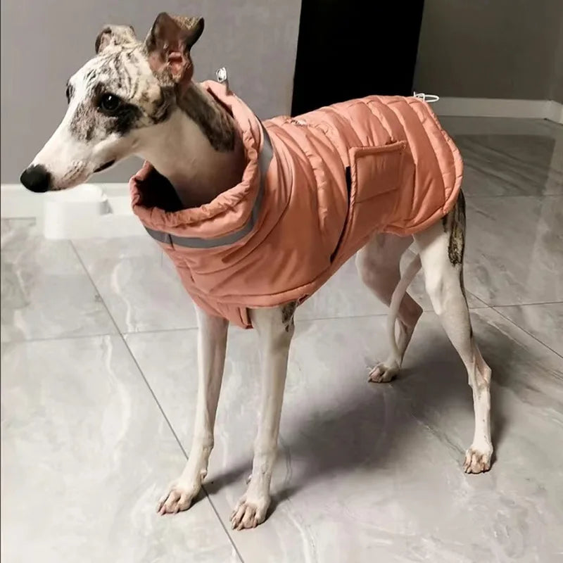 Windproof Winter Dog Jacket