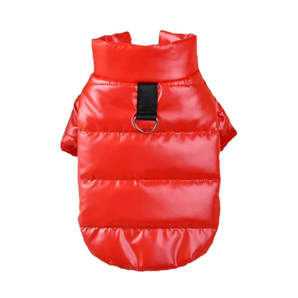 Windproof Leather Puppy Coat