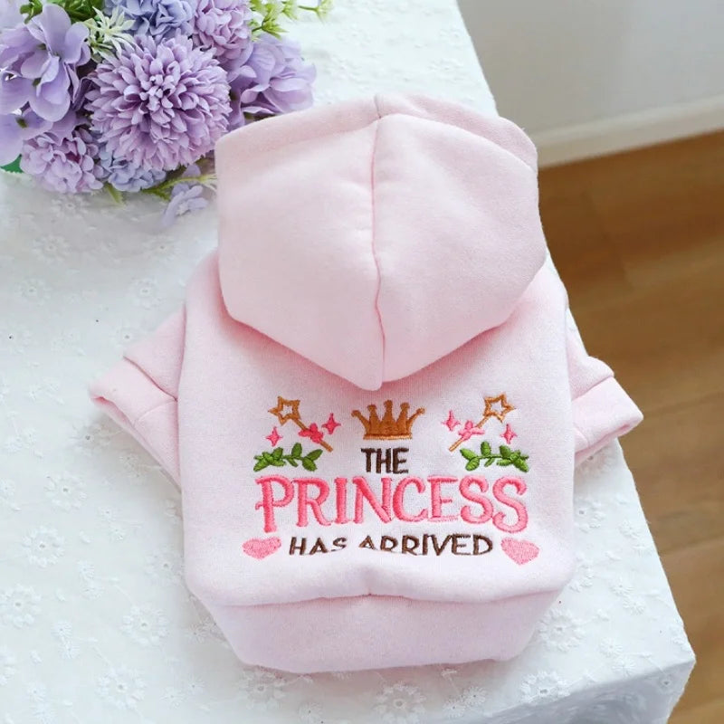 Warm Letter Print Pullover