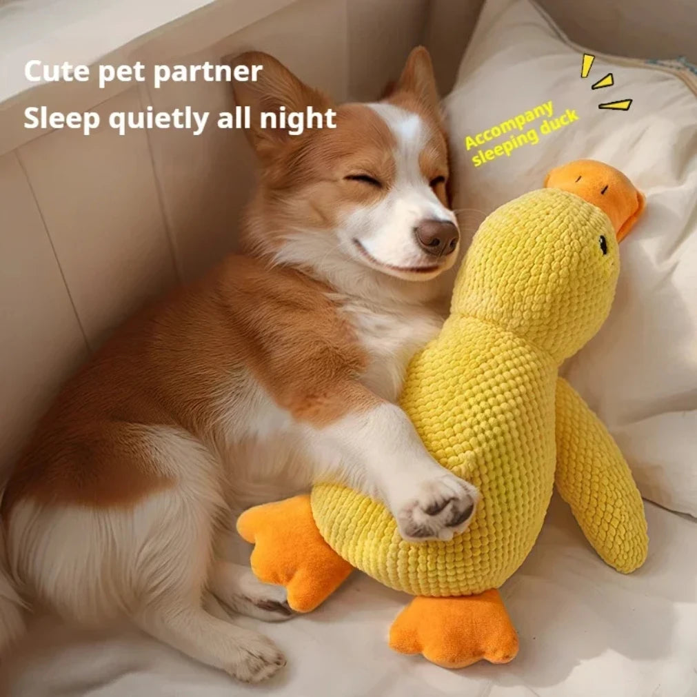 Plush Duck Dog Toy