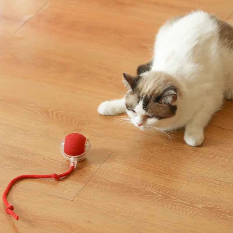 Interactive Smart Cat Ball Toy