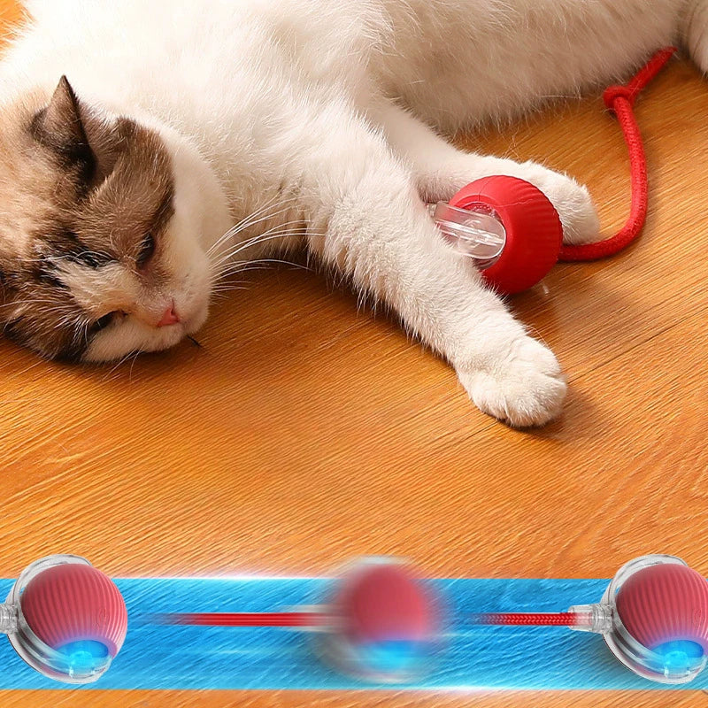 Interactive Smart Cat Ball Toy