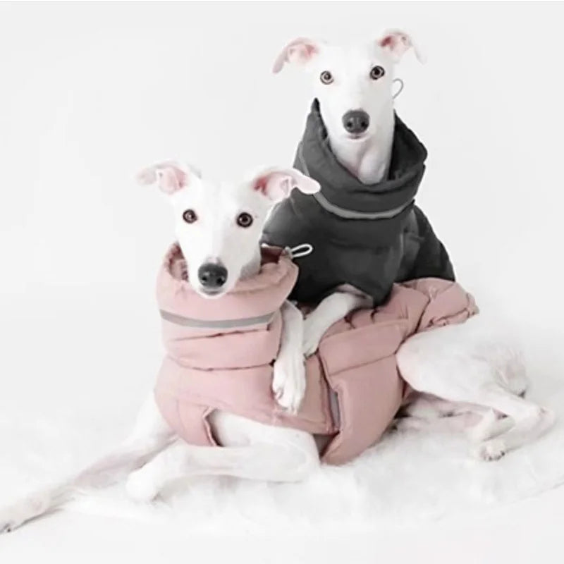Windproof Winter Dog Jacket