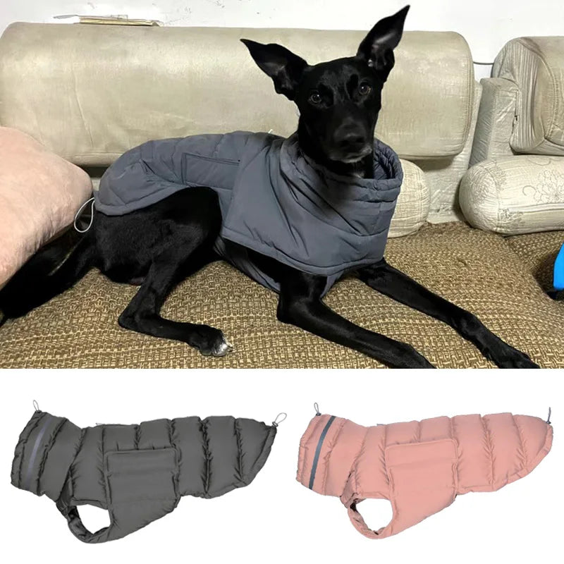Windproof Winter Dog Jacket