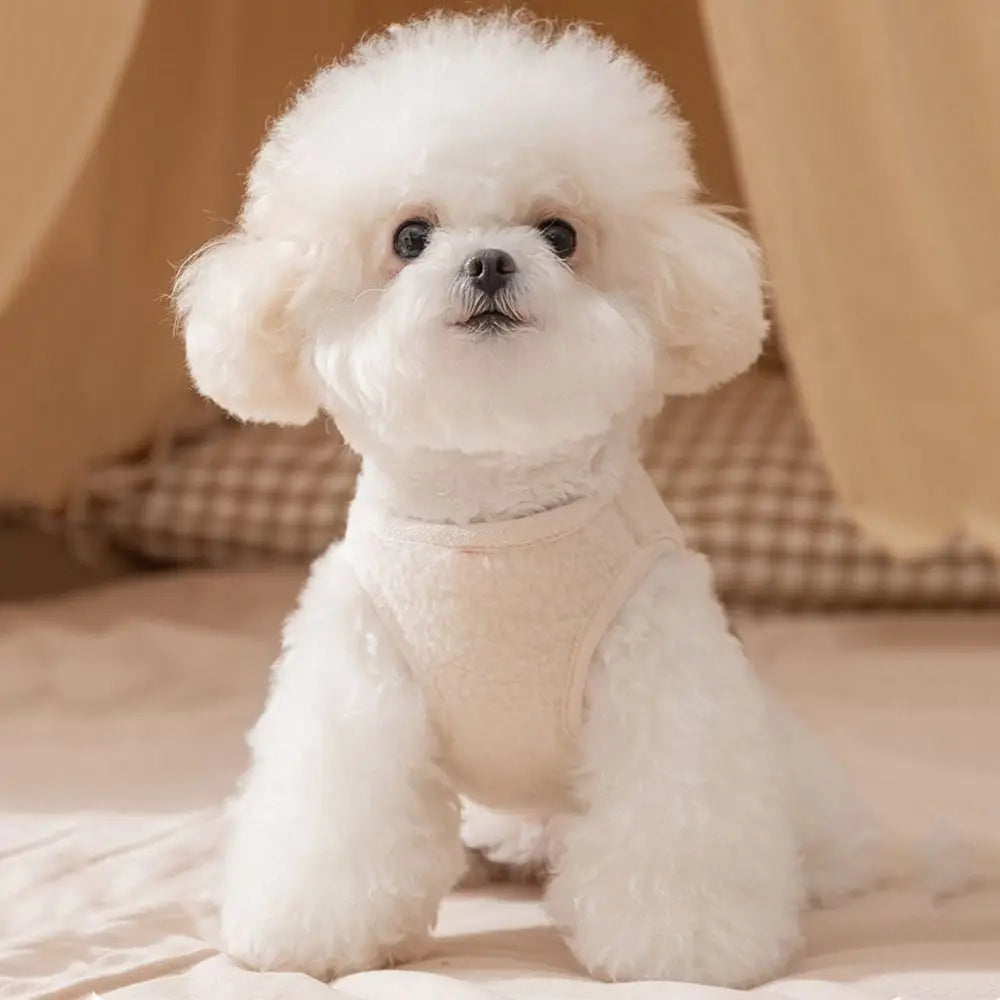 Fashion Dog Clothes Thickened Cartoon Bear Pet Coat Windproof Keep Warm Puppy Clothes Vest For Small Medium Dog