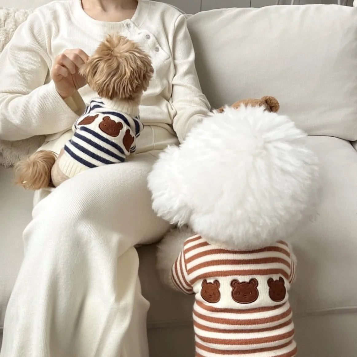 Pet Spring and Autumn Striped Sweater Warm Pet Knitted Sweater Autumn Winter Thickened Small Medium sized Dog Cat Teddy Coat