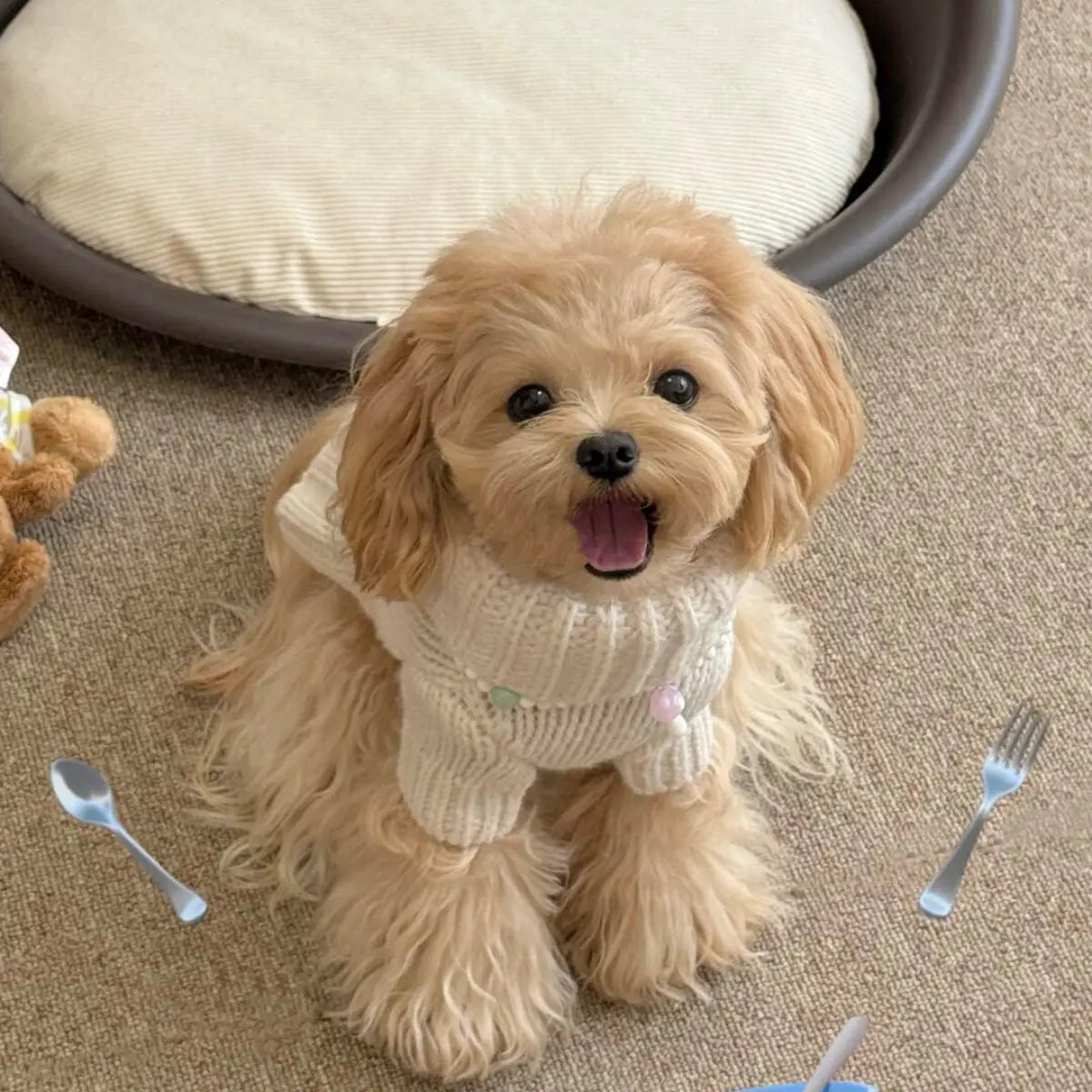 Pet Autumn/Winter Sweater High Neck Small Dog Yorkshire Teddy Knitted Coat Dog Clothes for Small Dogs Puppy Clothes