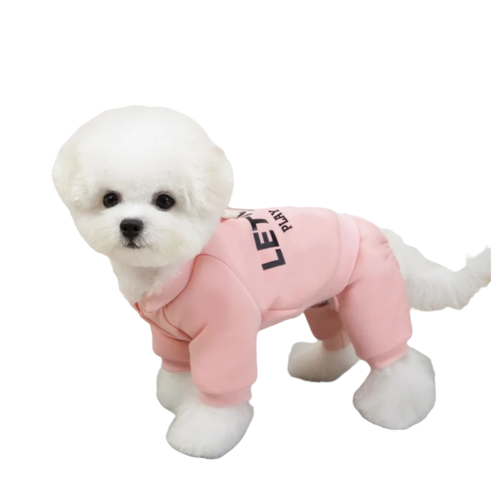 Warm pet sweatshirt
