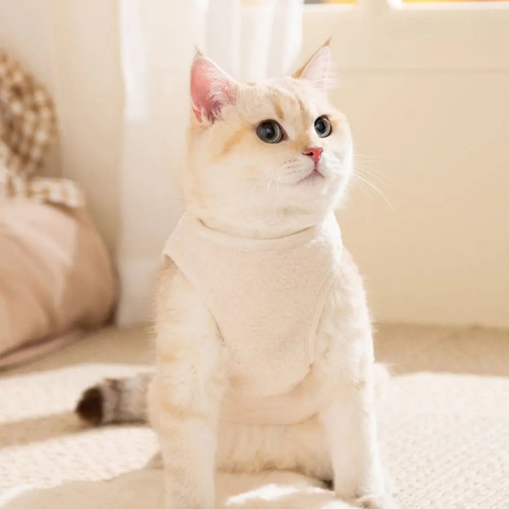 Fashion Dog Clothes Thickened Cartoon Bear Pet Coat Windproof Keep Warm Puppy Clothes Vest For Small Medium Dog