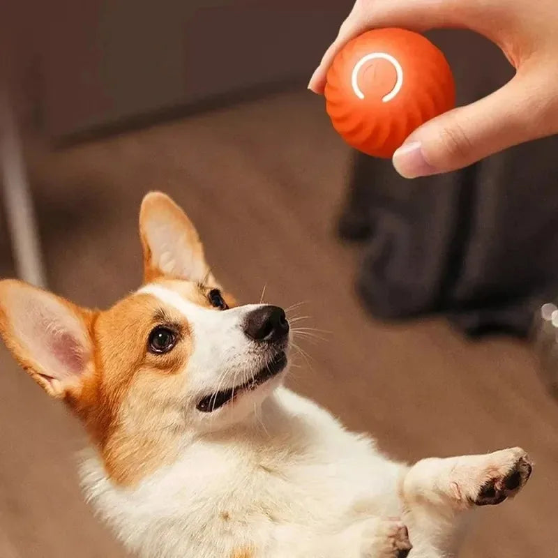 Smart Dog Toy Ball Electronic Interactive Pet Toy Moving Ball USB Automatic Moving Bouncing for Puppy Birthday Gift Cat Products