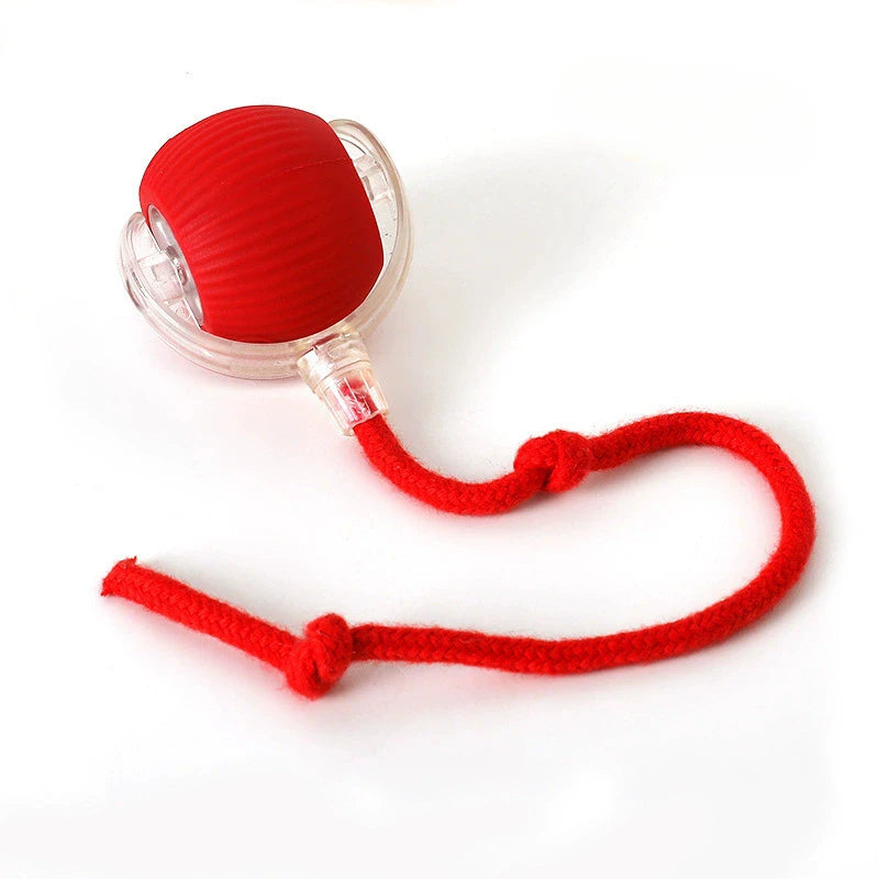 Interactive Smart Cat Ball Toy