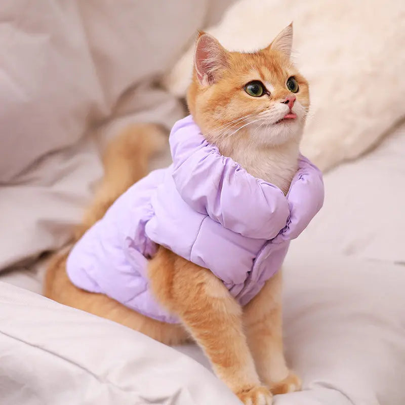 Dog Winter Clothes fleece-lined Small Dog Cat Clothes Thickened Warm Winter Smooth Fabric Solid Color Puppy Dog Coat 2025 New