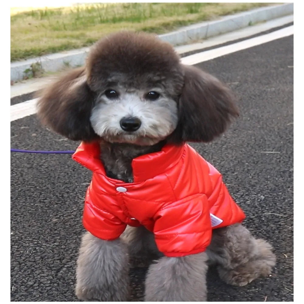 Windproof Leather Puppy Coat