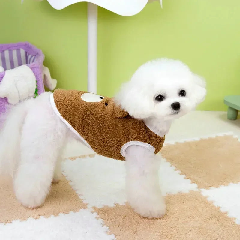 Small white dog wearing a brown outfit with bear ears on a checkered floor.